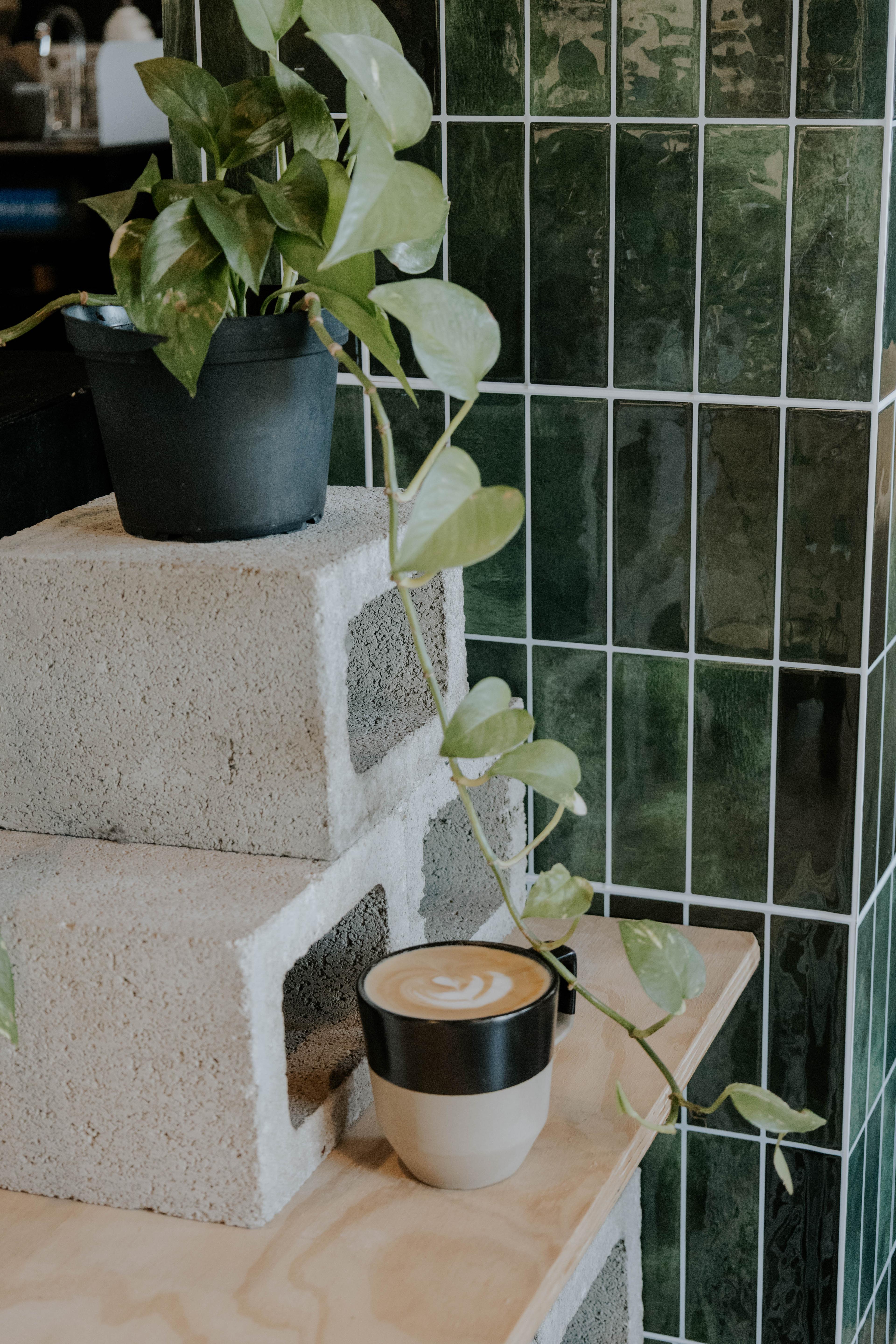 Live DJ at Shepherds Coffee Co. in San Diego